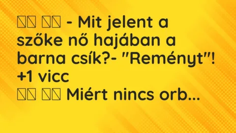 Viccek: 
		  
		  – Mit jelent a szőke nő hajában a barna…