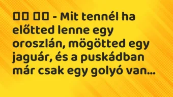 Viccek:
– Mit tennél ha előtted lenne egy oroszlán,… Viccek:
– Mit tennél ha előtted lenne egy oroszlán,…