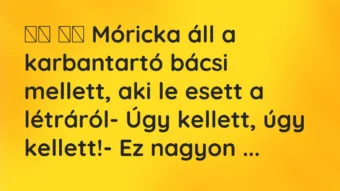 Viccek: 
		  
		  Móricka áll a karbantartó bácsi mellett, aki le…