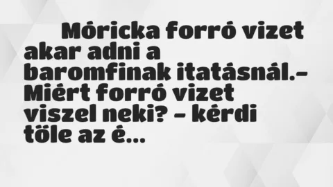 Viccek: 
		  
		  Móricka forró vizet akar adni a baromfinak…