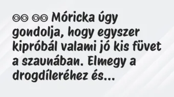 Viccek: 
		  
		  Móricka úgy gondolja, hogy egyszer kipróbál…
