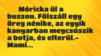Viccek: 
		  
		  Móricka ül a buszon. Fölszáll egy öreg nénike, az…