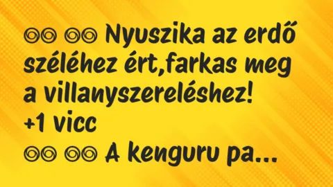 Viccek: 
		  
		  Nyuszika az erdő széléhez ért,farkas meg a…