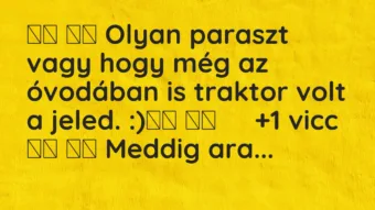 Viccek: 
		  
		  Olyan paraszt vagy hogy még az óvodában is…