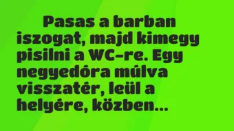 Viccek: 
		  
		  Pasas a barban iszogat, majd kimegy pisilni a…