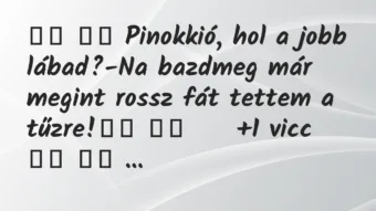 Viccek: 
		  
		  Pinokkió, hol a jobb lábad?-Na bazdmeg már…