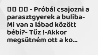 Viccek: 
		  
		  – Próbál csajozni a parasztgyerek a buliba-…