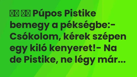 Viccek: 
		  
		  Púpos Pistike bemegy a pékségbe:- Csókolom,…