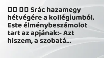 Viccek: 
		  
		  Srác hazamegy hétvégére a kollégiumból. Este…
