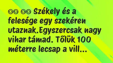 Viccek: 
		  
		  Székely és a felesége egy szekéren…
