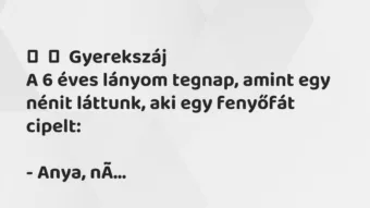 Vicces történet: 
	    	    Gyerekszáj


A 6 éves lányom tegnap, amint egy nénit…