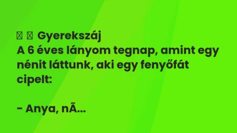 Vicces történet: 
	    	    Gyerekszáj


A 6 éves lányom tegnap, amint egy nénit…