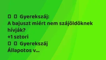 Vicces történet: 
	    	    Gyerekszáj:


A bajuszt miért nem szájöldöknek…