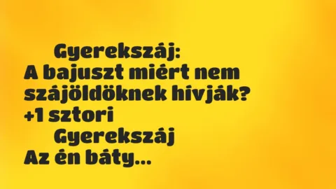 Vicces történet: 
	    	    Gyerekszáj:


A bajuszt miért nem szájöldöknek…