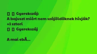Vicces történet: 
	    	    Gyerekszáj:


A bajuszt miért nem szájöldöknek…