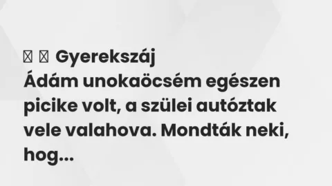 Vicces történet: 
	    	    Gyerekszáj


Ádám unokaöcsém egészen picike volt, a…