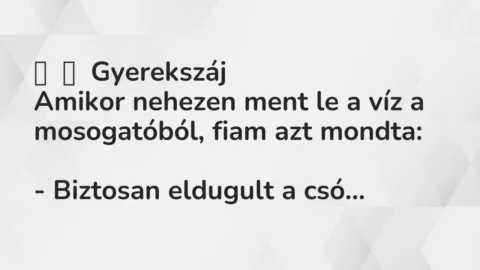 Vicces történet: 
	    	    Gyerekszáj


Amikor nehezen ment le a víz a…