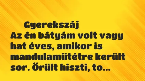Vicces történet: 
	    	    Gyerekszáj


Az én bátyám volt vagy hat éves, amikor is…
