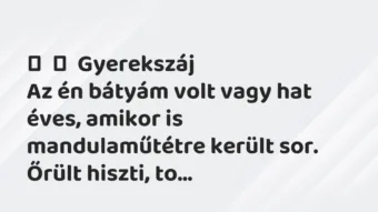Vicces történet:
Gyerekszáj
Az én bátyám volt vagy hat éves, amikor is… Vicces történet:
Gyerekszáj
Az én bátyám volt vagy hat éves, amikor is…