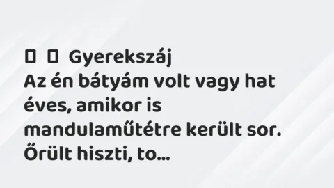 Vicces történet: 
	    	    Gyerekszáj


Az én bátyám volt vagy hat éves, amikor is…