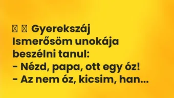 Vicces történet: 
	    	    Gyerekszáj


Ismerősöm unokája beszélni tanul:


– …