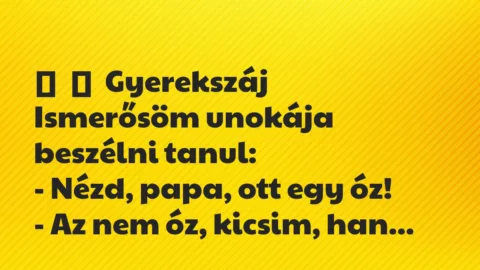 Vicces történet: 
	    	    Gyerekszáj


Ismerősöm unokája beszélni tanul:


– …