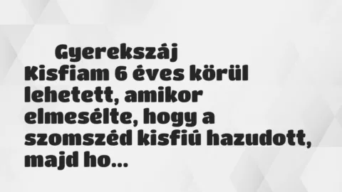 Vicces történet: 
	    	    Gyerekszáj


Kisfiam 6 éves körül lehetett, amikor…