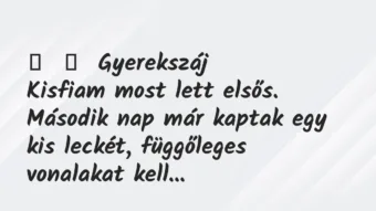 Vicces történet: 
	    	    Gyerekszáj


Kisfiam most lett elsős. Második nap már…