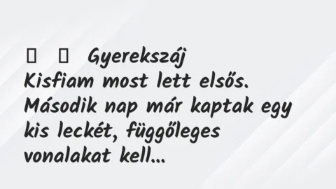 Vicces történet: 
	    	    Gyerekszáj


Kisfiam most lett elsős. Második nap már…