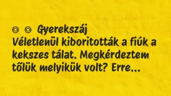 Vicces történet: 
	    	    Gyerekszáj


Véletlenül kiboritották a fiúk a kekszes…