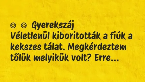 Vicces történet: 
	    	    Gyerekszáj


Véletlenül kiboritották a fiúk a kekszes…
