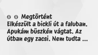 Vicces történet: 
	    	    Megtörtént


Elkészült a bickli út a faluban. Apukám…