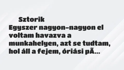 Vicces történet: 
	    	    Sztorik


Egyszer nagyon-nagyon el voltam havazva a…