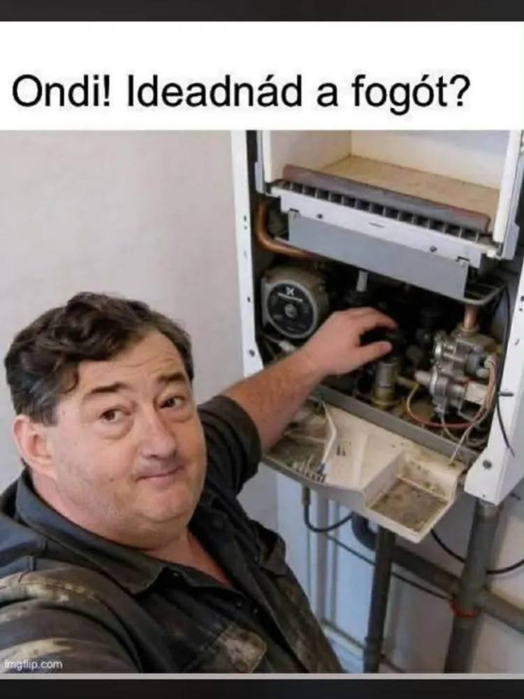 #VK1776133806 #VK1776133806