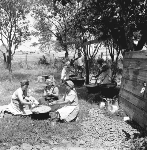 1952. Túrkeve, az asszonyok a szabadban főzik az ebédet a Vörös Csillag Tszcs eg… #RK1777287627