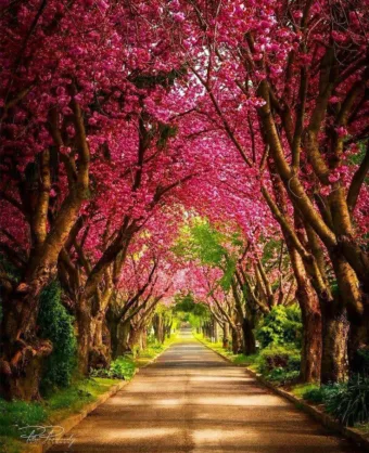 „A dolgok nem kívül kezdődnek, hanem belül, és nem alul, hanem felül, és nem a l… #I1776628309