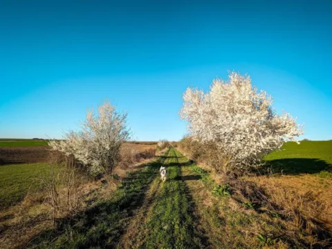 Borongósabb nap jön – ilyen lesz április 12. időjárás