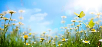 Enyhe reggel, melegebb délután – ilyen lesz április 10.