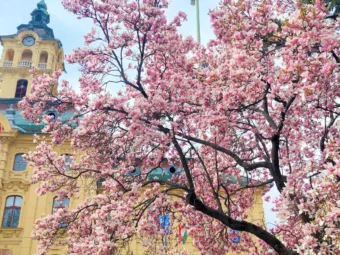 Felhős, de kellemes: április 18. időjárás országszerte