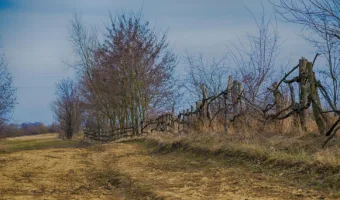 Fordulat a láthatáron – április 6. időjárása Fordulat a láthatáron – április 6. időjárása