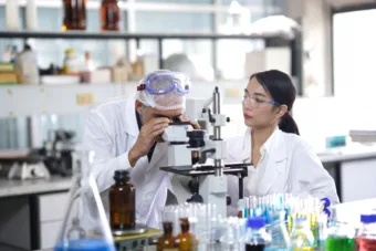 Kvíz: Élet a részletekben – teszteld magad