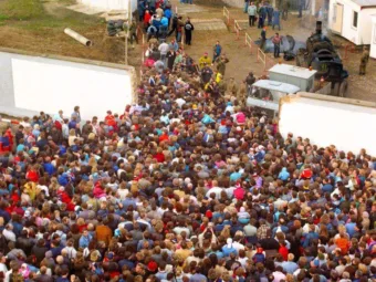 Kvíz: Képes vagy elérni legalább 8 pontot?