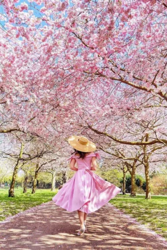 “Minden virág egyszer nyílik, és minden pillanat csak egyszer történik meg. Prób… #I1777230244