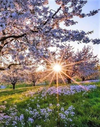 “Mindenkinek, aki meghal, hagynia kell maga után valamit, mondta a nagyapám. Gye… #I1775848772