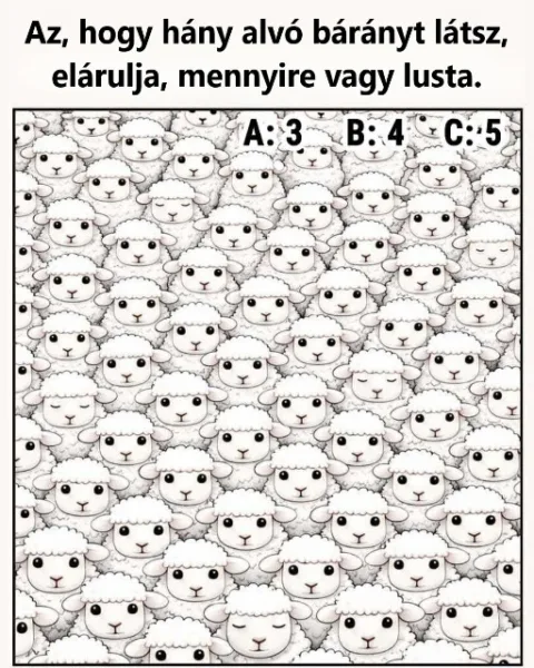 Rejtvény: A látott alvó bárányok száma elárulja, mennyire figyelsz (nem