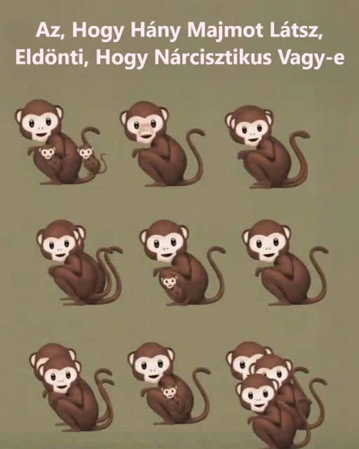 Rejtvény: Az, hogy hány majmot látsz, eldönti, hogy nárcisztikus vagy-e