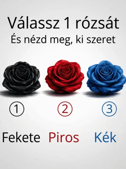 Rejtvény: Válassz egy rózsát, és tudd meg, ki szeret titokban