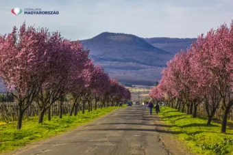 Tavaszi napsütés és felhők – holnapi időjárás május 1.