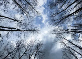 Több felhő, visszafogottabb meleg – holnapi időjárás április 7.