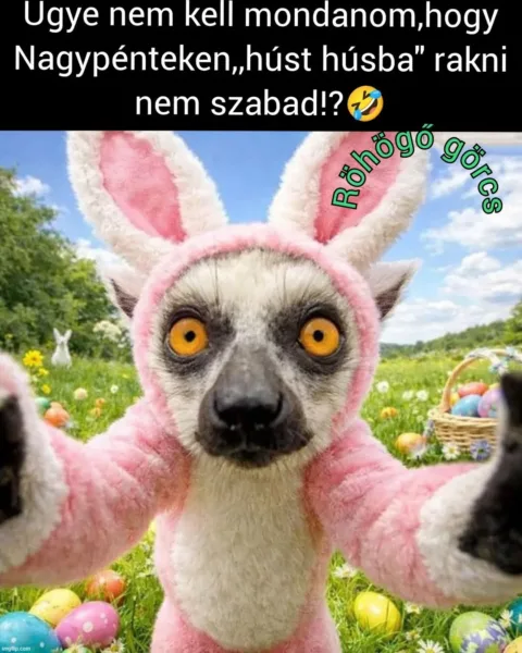 #VK1775142210